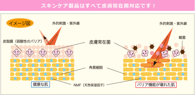 アミノ酸生活ドットコムのスキンケア製品はすべて皮膚常在菌対応です！